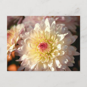 Cartão Postal Mães rosa e amarela
