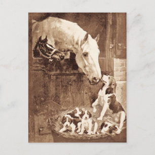 Cartão Postal Mães se saudando