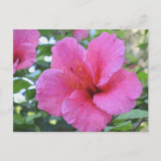 Cartão postal Magenta Hibiscus (Frente)