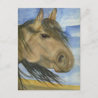Cartão Postal Magic, Um Mustang Americano
