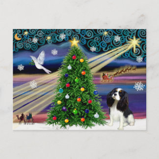 Cartão Postal Mágica de Natal Cavalier King Charles (Tri)