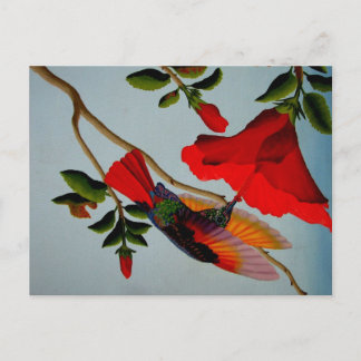 Cartão Postal Magnífico Hummingbird