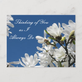 Cartão postal Magnolia