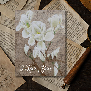 Cartão Postal Magnolia Blossom