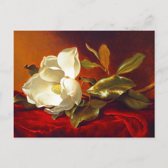 Cartão Postal Magnolia em Red Velvet Martin Johnson Heade (Frente)