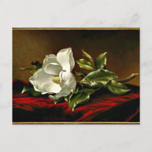 Cartão Postal Magnolia Grandiflora trabalho de arte