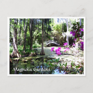 Cartão Postal Magnolia Plantation Gardens Charleston SC Cartão-p