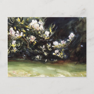 Cartão Postal Magnolias por John Singer Sargent
