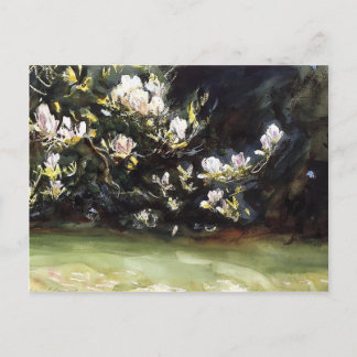 Cartão Postal Magnolias por John Singer Sargent