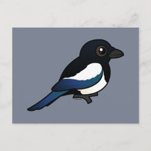 Cartão Postal Magpie de bico preto
