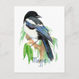 Cartão Postal Magpie, Pássaro, Jardim, Natureza, Vida Selvagem