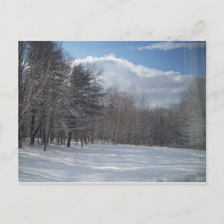 Cartão Postal Maine