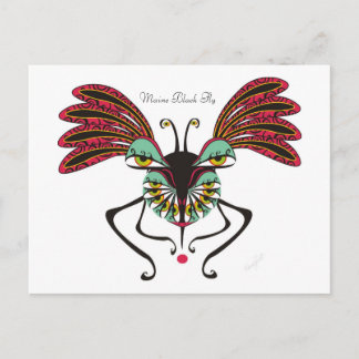 Cartão Postal Maine Black Fly
