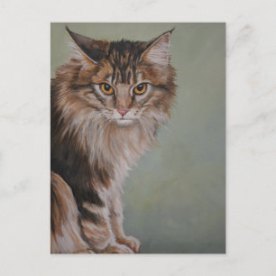 Cartão Postal Maine Coon Cat Postcard