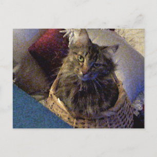 Cartão Postal Maine Coon Tabby Cat