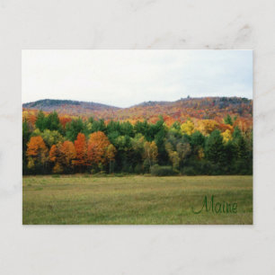 Cartão Postal Maine Foliage