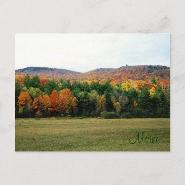 Cartão Postal Maine Foliage (Frente)