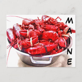 Cartão Postal Maine Lobster