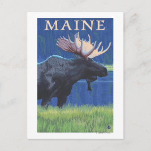 Cartão Postal MaineMoose à Lua