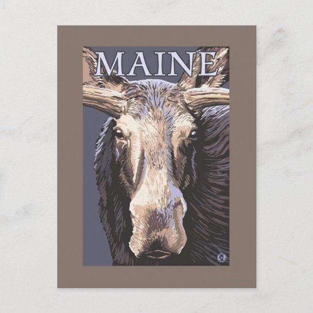 Cartão Postal MaineMoose Aproximada (Frente)