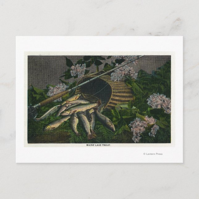 Cartão Postal MaineView de um Belo Captura de Maine Lake Trout (Frente)