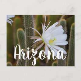 Cartão Postal Maio no jardim, Arizona