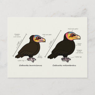 Cartão Postal Maior de cabeça amarela v Menor