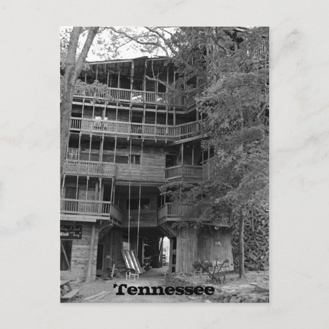 Cartão Postal Maior Treehouse do Mundo (Frente)