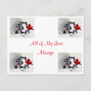 Cartão Postal Mais Bonita Vintage Boston Terrier Puppy