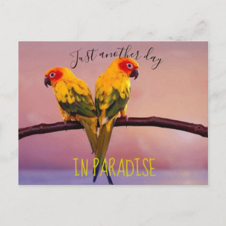 Cartão Postal Mais um dia no PARAÍSO