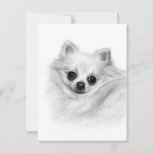 Cartão Postal Majestade Furry - Pintado com a Mão original Chihu