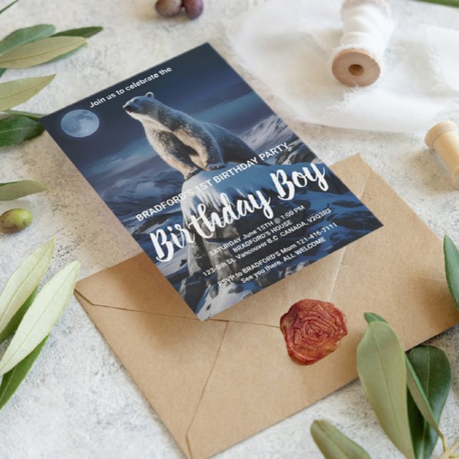 Cartão Postal Majestoso Aardvark em Campo Sereno (Criador carregado)