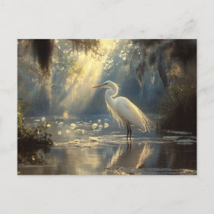 Cartão Postal Majestoso Egret em um pântano sereno iluminado pel