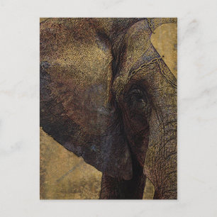 Cartão Postal Majestoso Elefante Africano Grunge Parchment
