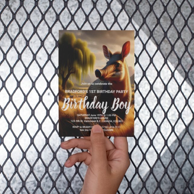 Cartão Postal Majexpressa no campo de Serene (Criador carregado)