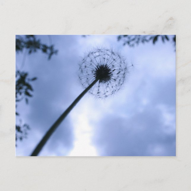 Cartão Postal Makin' Wish (Frente)