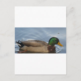 Cartão Postal Mal III