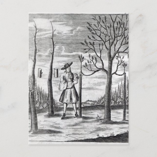 Cartão Postal Maladias de jardinagem e de plantas (Frente)