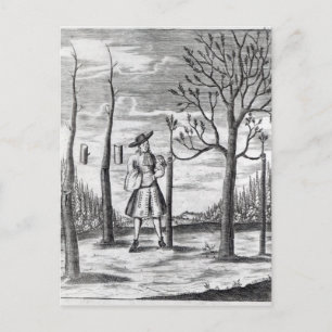 Cartão Postal Maladias de jardinagem e de plantas