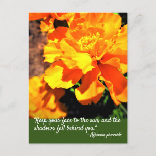 Cartão Postal Malandros Laranjas Flores de Marigold Citação Insp