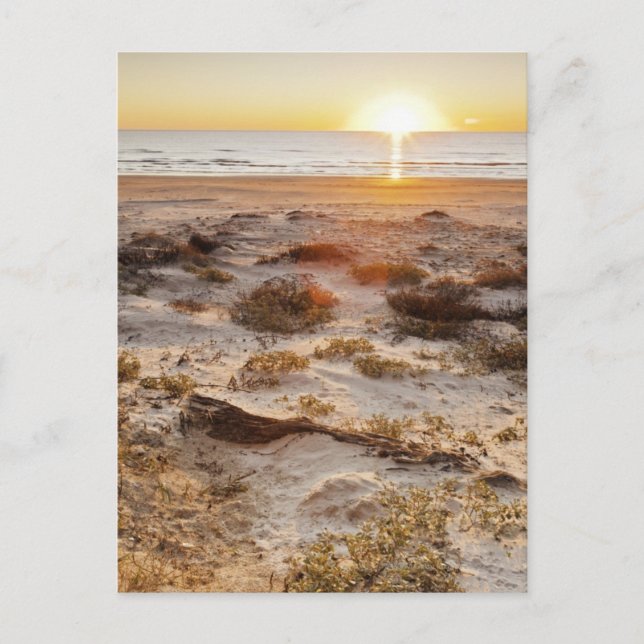 Cartão Postal Malaquite Beach Sand Dunes (Frente)