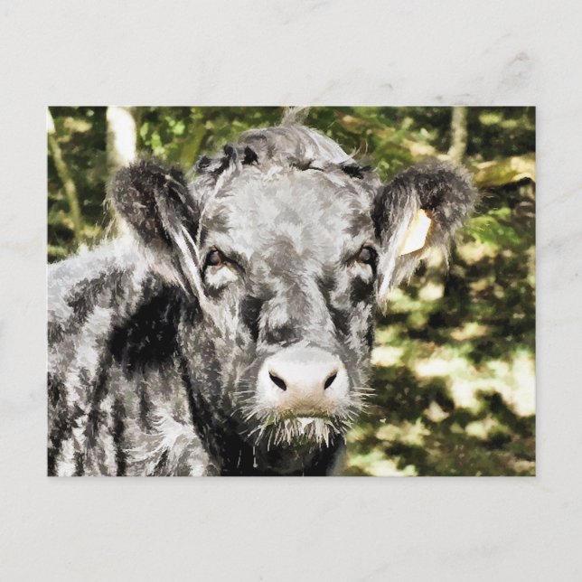 CARTÃO POSTAL MALAS (Frente)