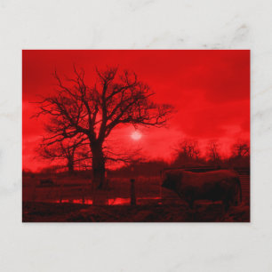 CARTÃO POSTAL MALAS