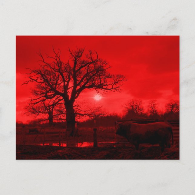 CARTÃO POSTAL MALAS (Frente)