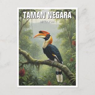 Cartão Postal Malásia Taman Negara Hornbill