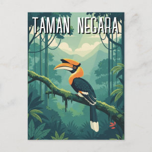 Cartão Postal Malásia Taman Negara Hornbill