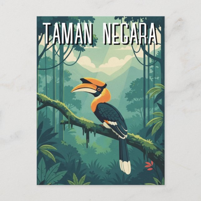 Cartão Postal Malásia Taman Negara Hornbill (Frente)