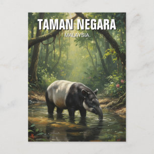 Cartão Postal Malásia Taman Negara Malaio Tapir
