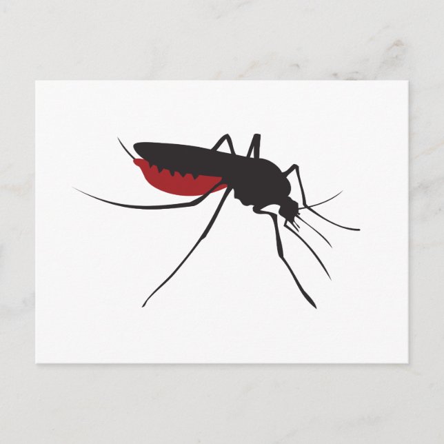 Cartão Postal Maldito mosquito (Frente)