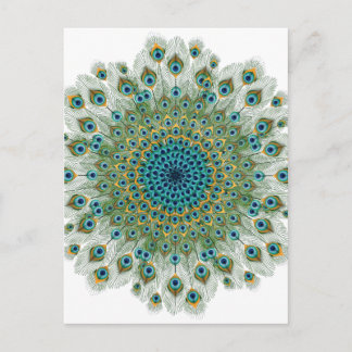 Cartão Postal Male Peacock Colorful Mandala